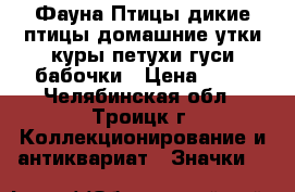 Фауна Птицы дикие птицы домашние утки куры петухи гуси бабочки › Цена ­ 18 - Челябинская обл., Троицк г. Коллекционирование и антиквариат » Значки   
